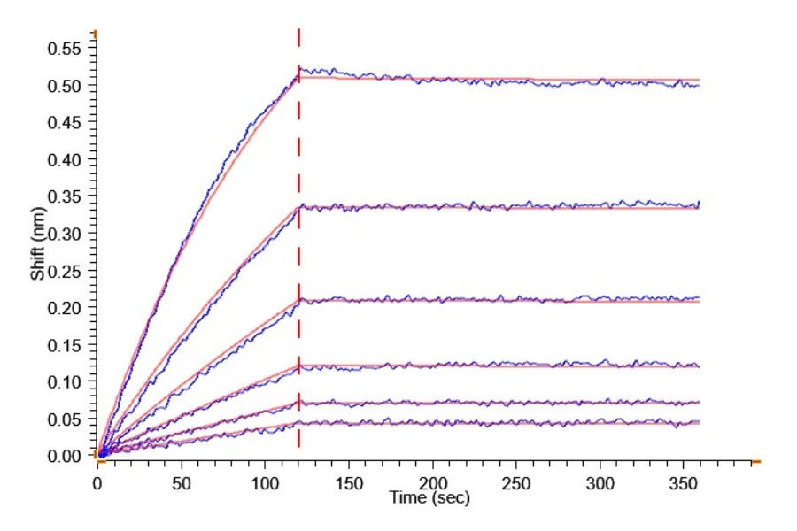CD257-MF001 BLI-2 result