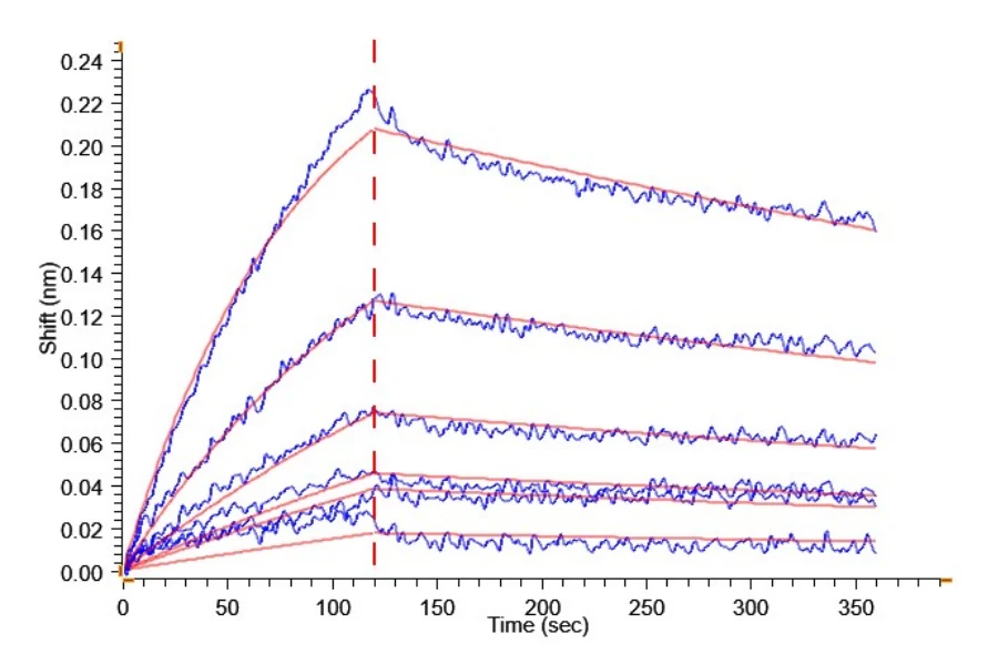 CD257-MF001 BLI result