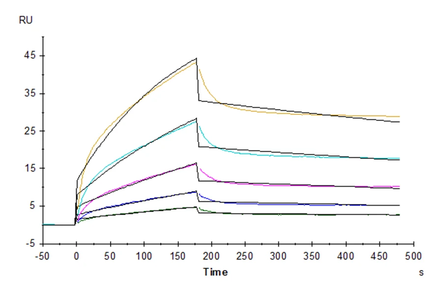 CD278-HF001 SPR result