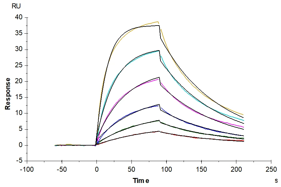 CD278-HF002 SPR result