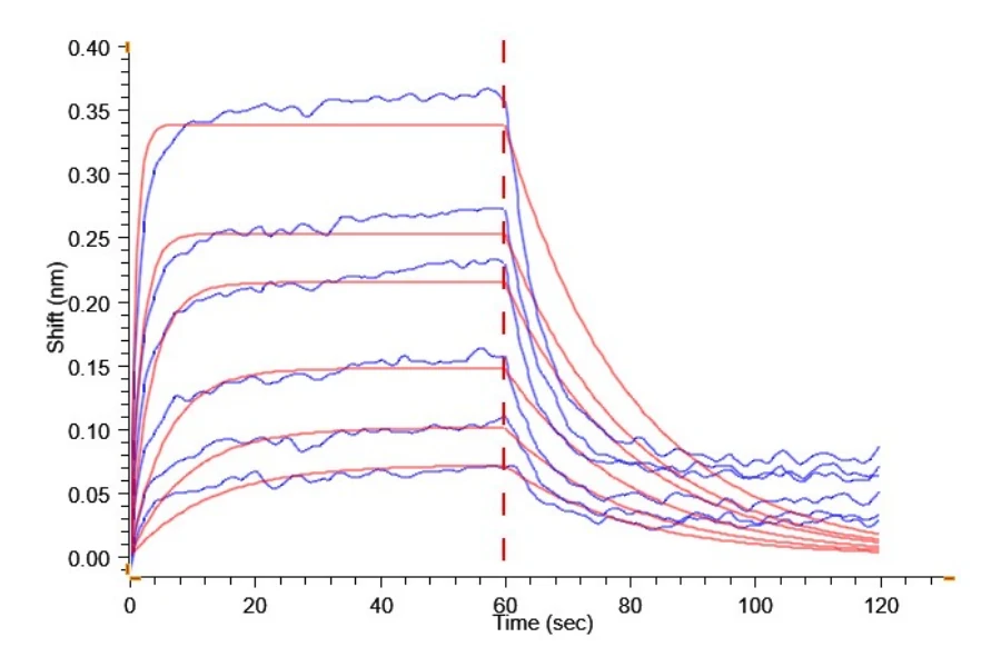 CD278-MF001 BLI result