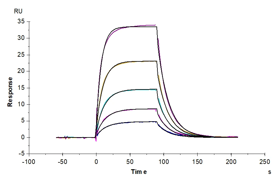 CD278-MF001 SPR result