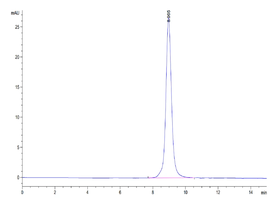 CD28-DP001 SEC-HPLC result