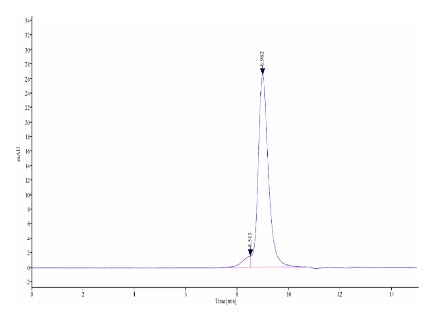 CD28-HB001 SEC-HPLC result