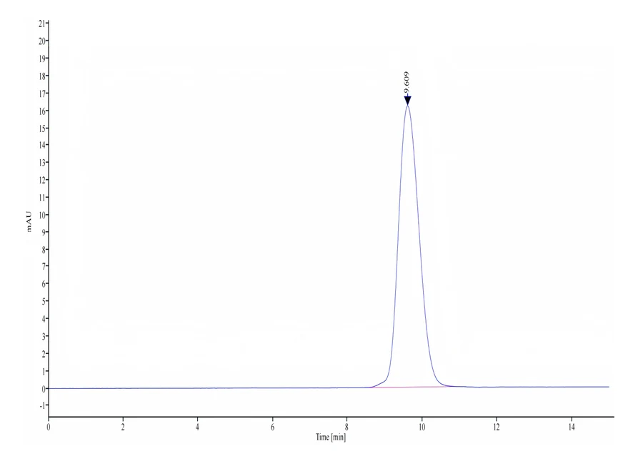 CD28-HP001 SEC-HPLC result
