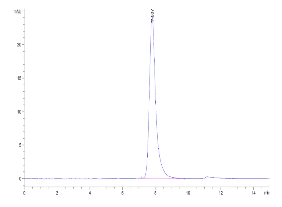 CD28-HP003 SEC-HPLC result