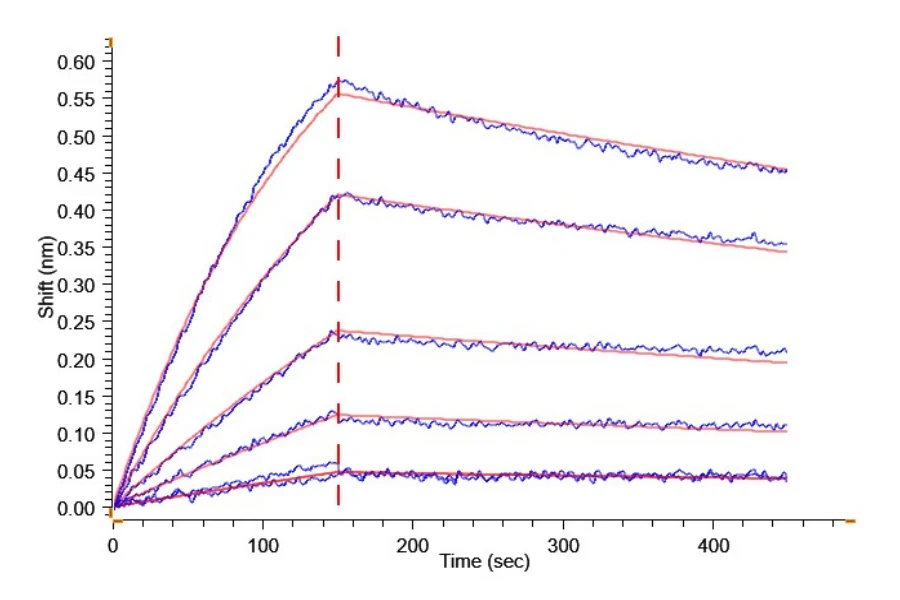 CD28H-HF001 BLI result