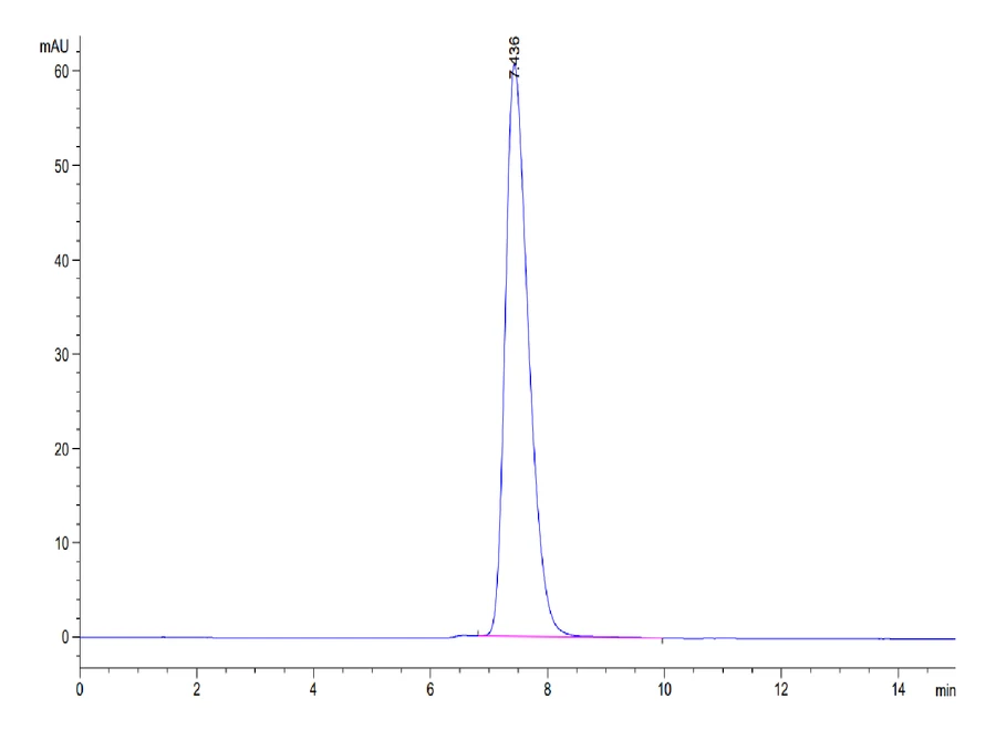 CD28H-HF001 SEC-HPLC result