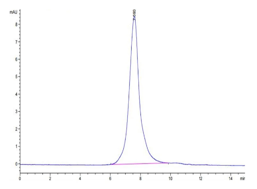 CD30-HB003 SEC-HPLC result