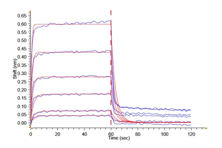 CD32A-CP001 BLI result