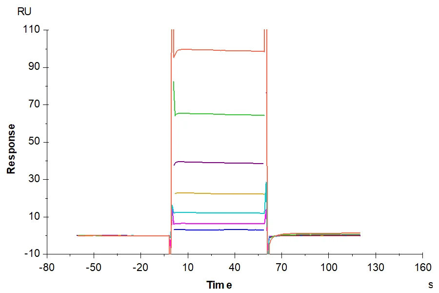 CD32A-CP001 SPR result