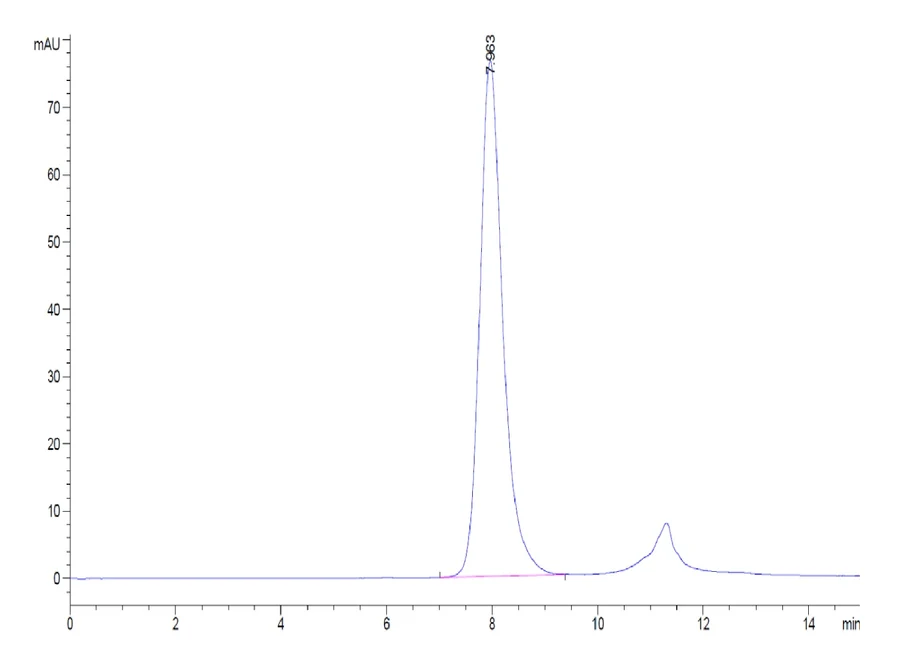 CD32A-HB001 SEC-HPLC result