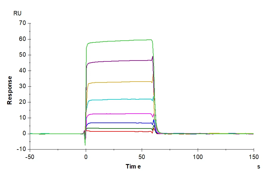 CD32A-HB001 SPR-2 result