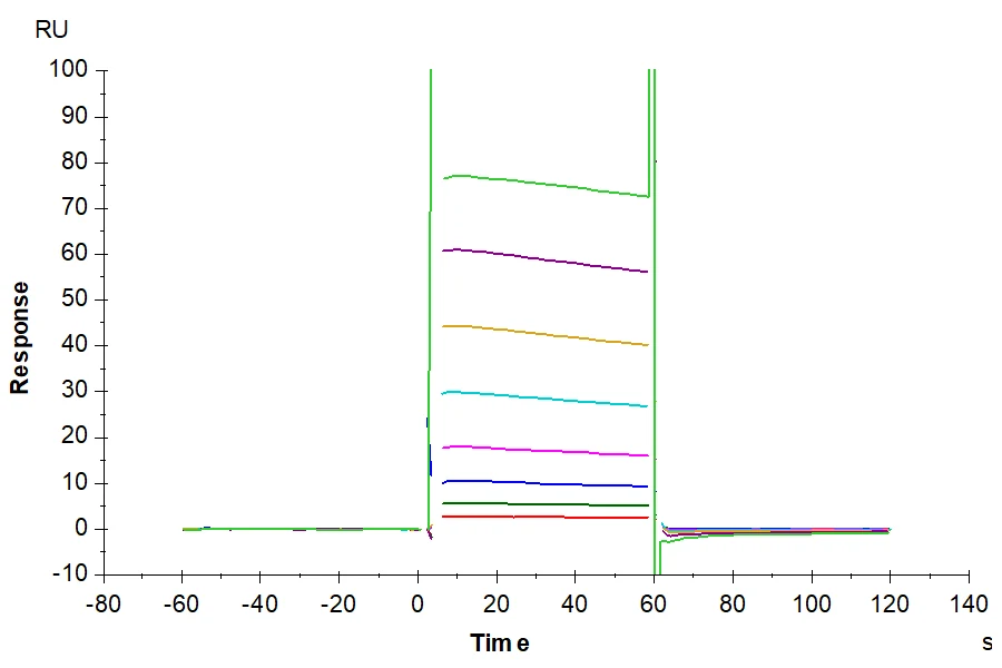 CD32A-HB001 SPR result