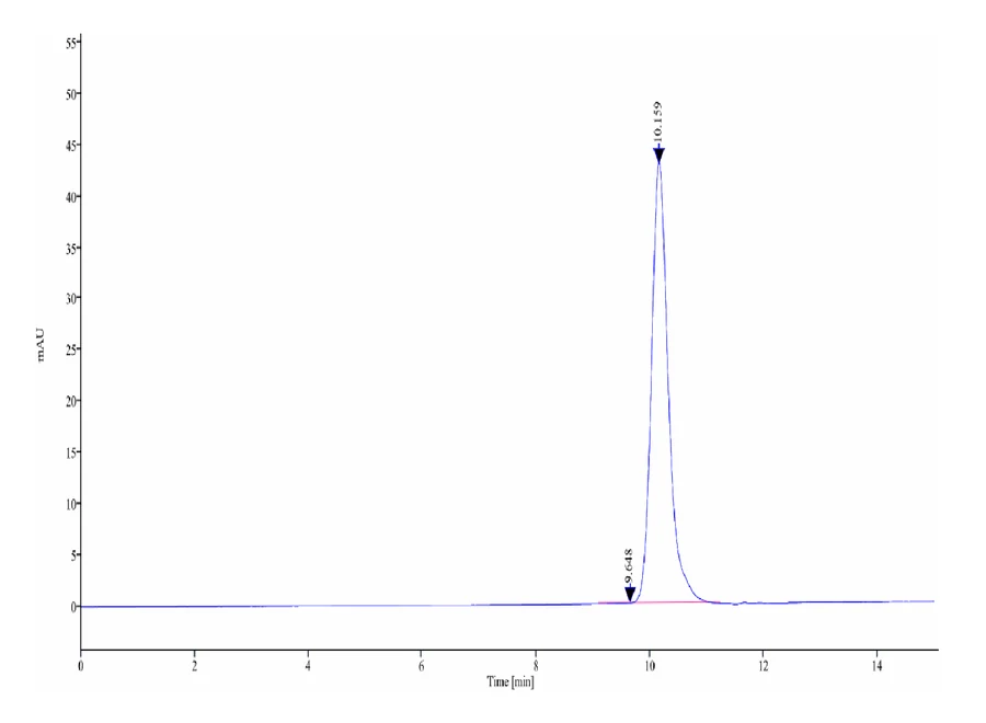 CD32A-HB002 SEC-HPLC result