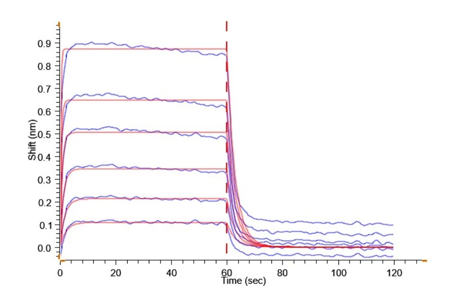 CD32A-HP002 BLI result