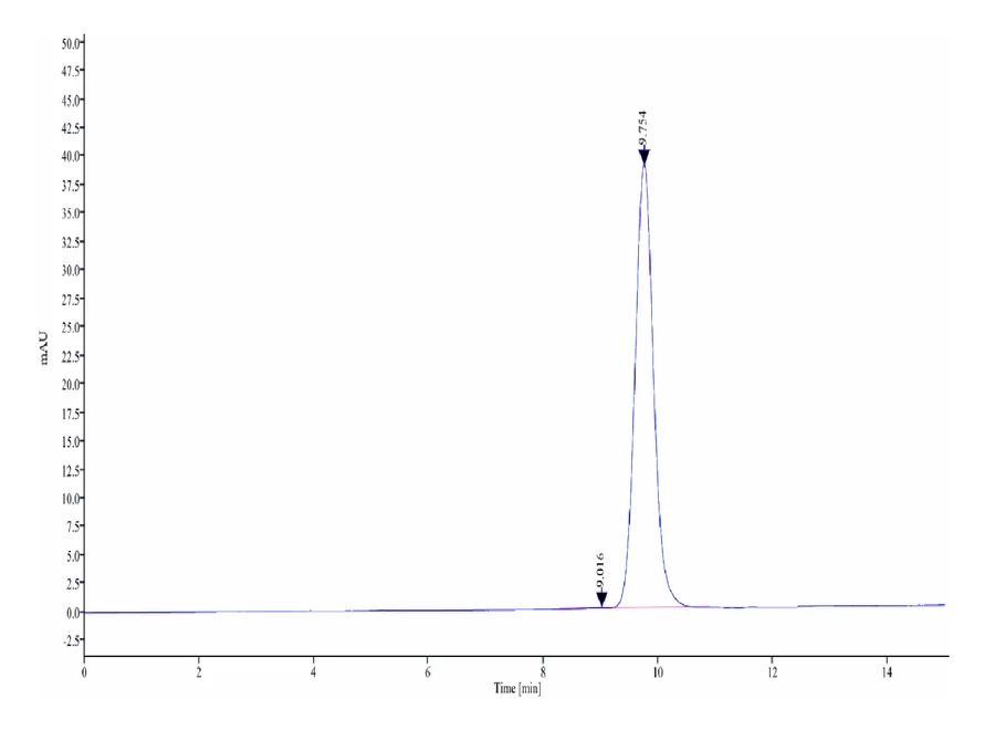 CD32A-HP002 SEC-HPLC result