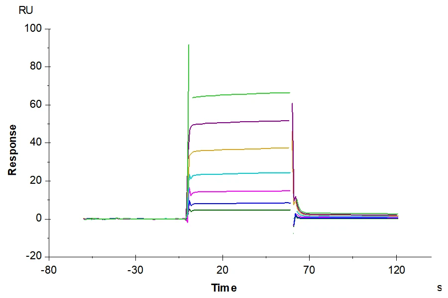 CD32A-HP002 SPR-2 result