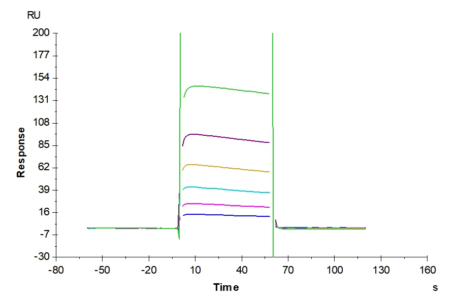 CD32A-HP002 SPR result