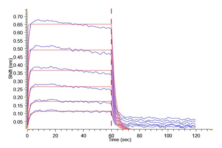 CD32A-HP003 BLI result