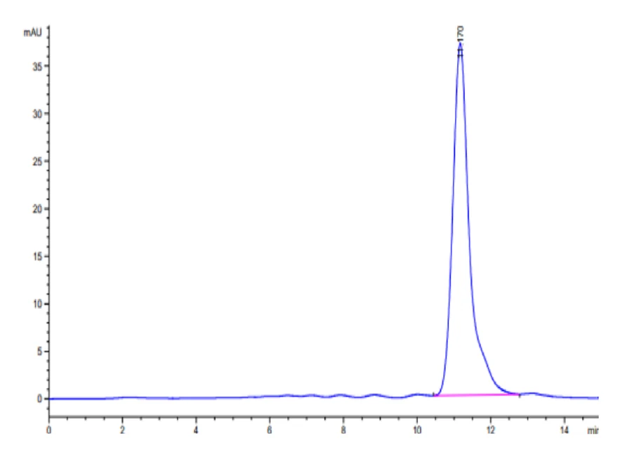 CD32B-CP001 SEC-HPLC result