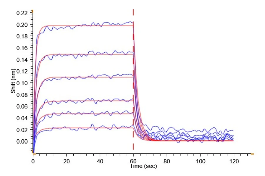 CD32B-MP001 BLI result