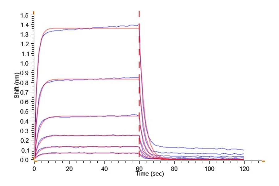 CD32BC-HB001 BLI result