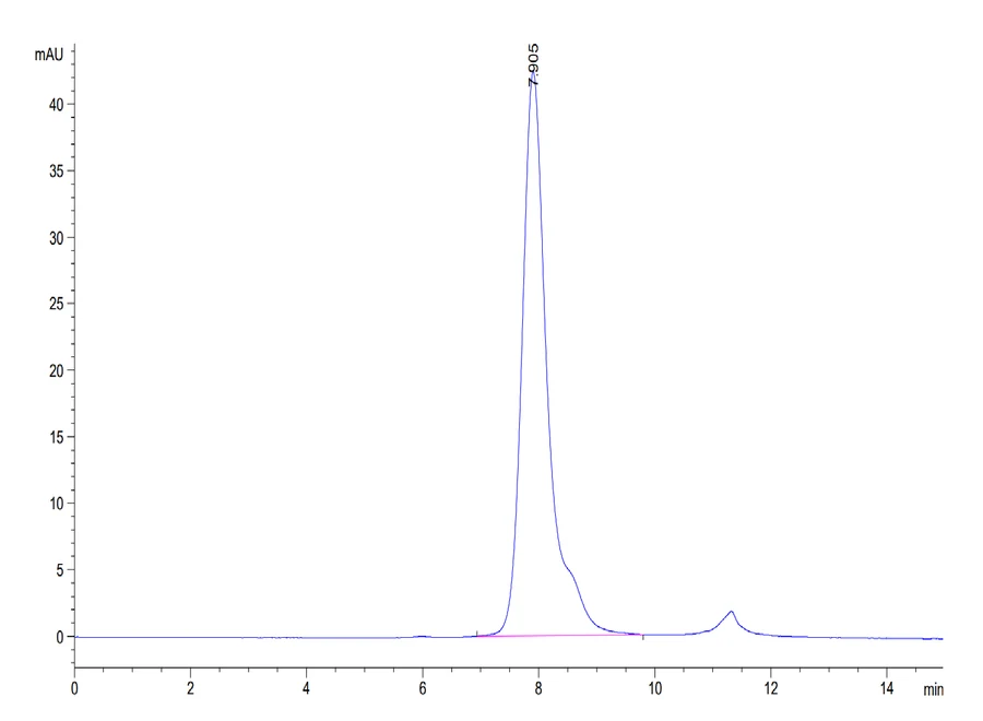 CD32BC-HB001 SEC-HPLC result