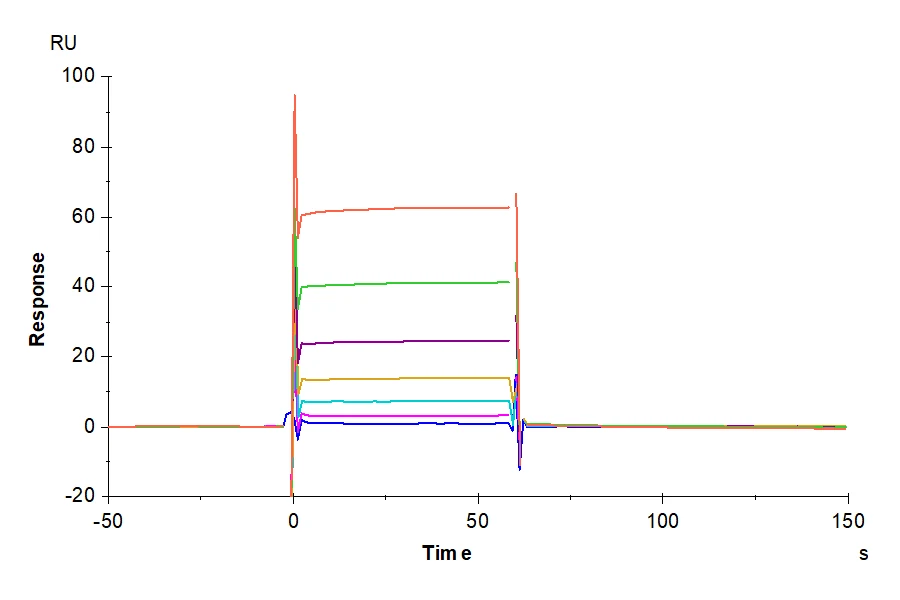 CD32BC-HB001 SPR-2 result