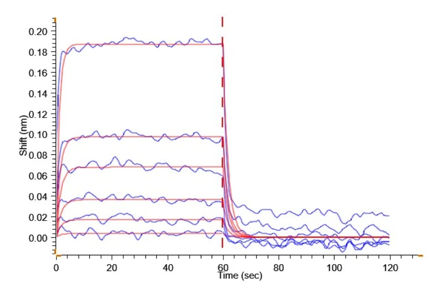 CD32BC-HP001 BLI result
