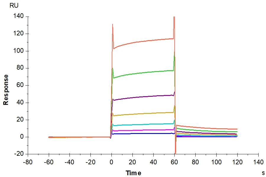 CD32BC-HP002 SPR-2 result