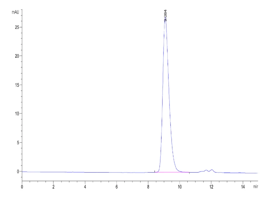 CD33-HB001 SEC-HPLC result
