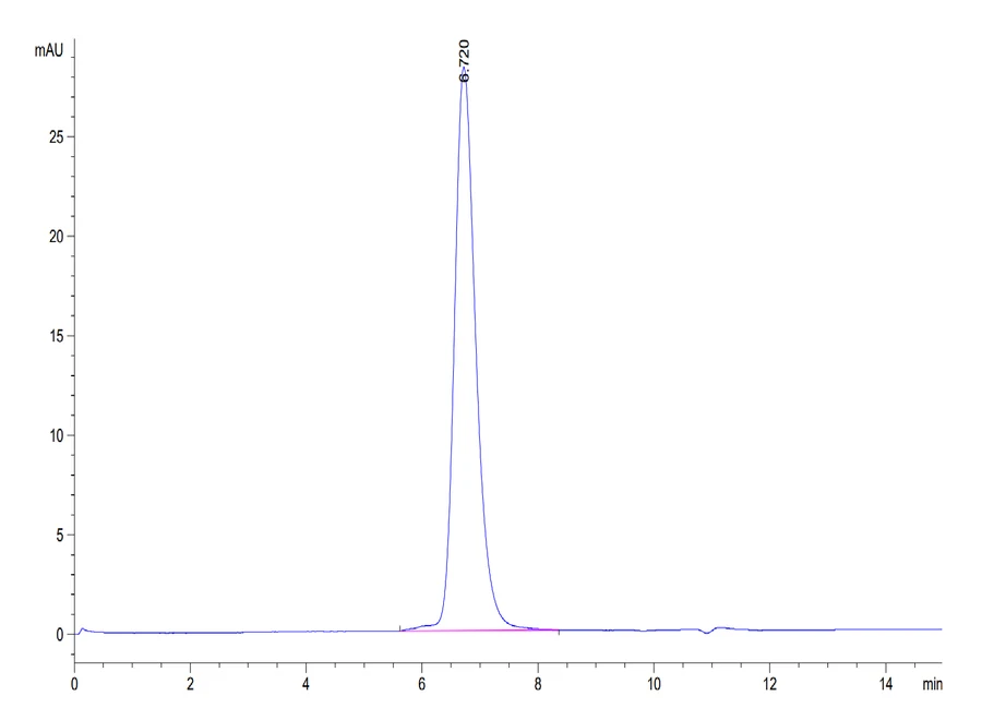 CD33-HF001 SEC-HPLC result