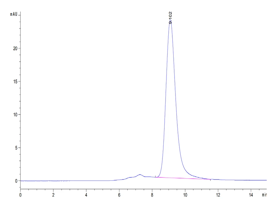 CD33-HP001 SEC-HPLC result