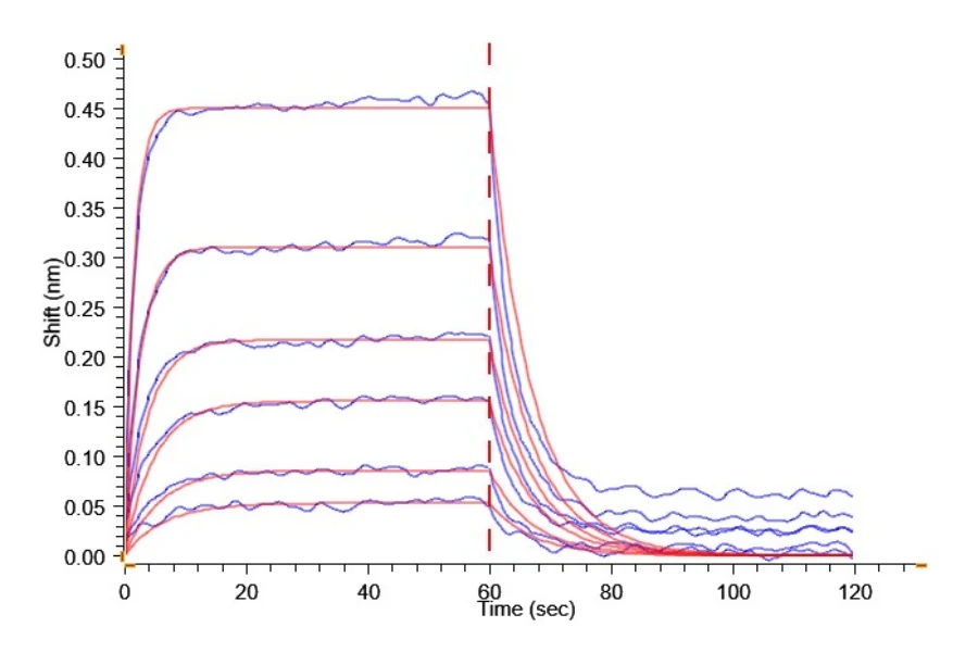 CD337-HF001 BLI result