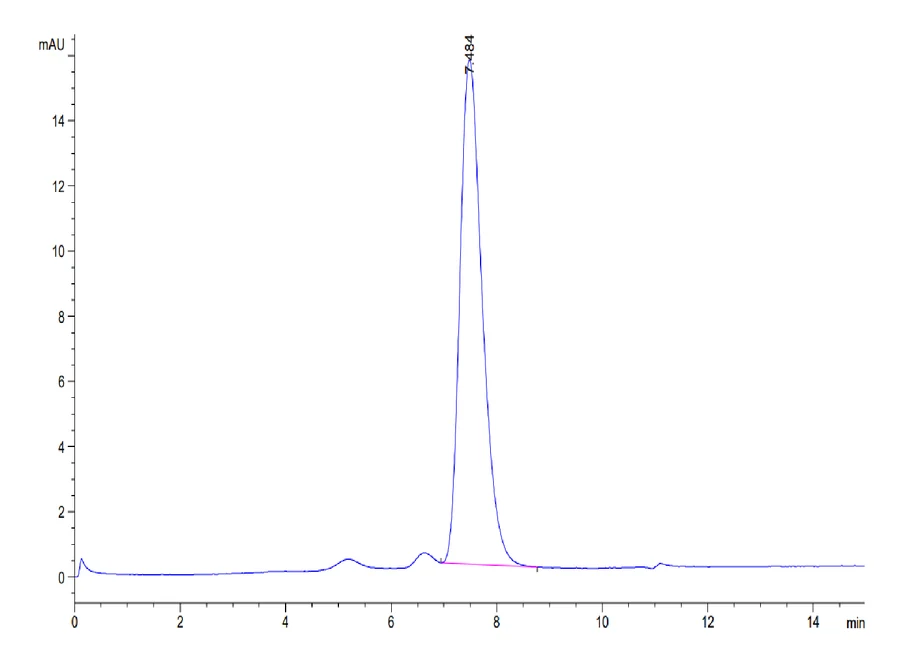 CD3D-HP001 SEC-HPLC result
