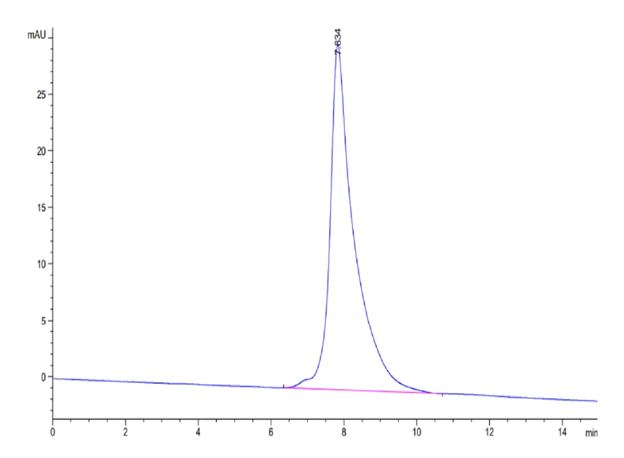 CD3E-CP002 SEC-HPLC result