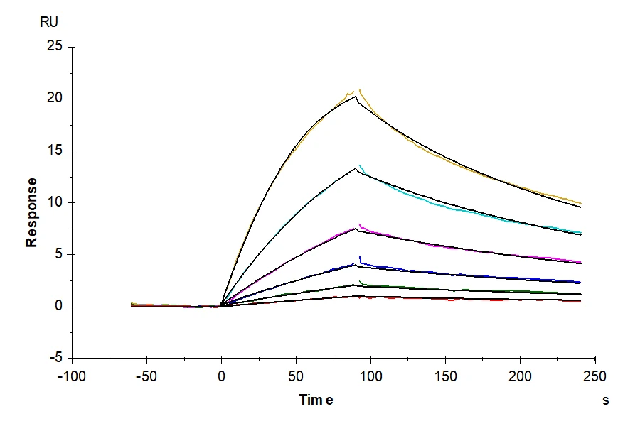 CD3E-HB004 SPR-2 result