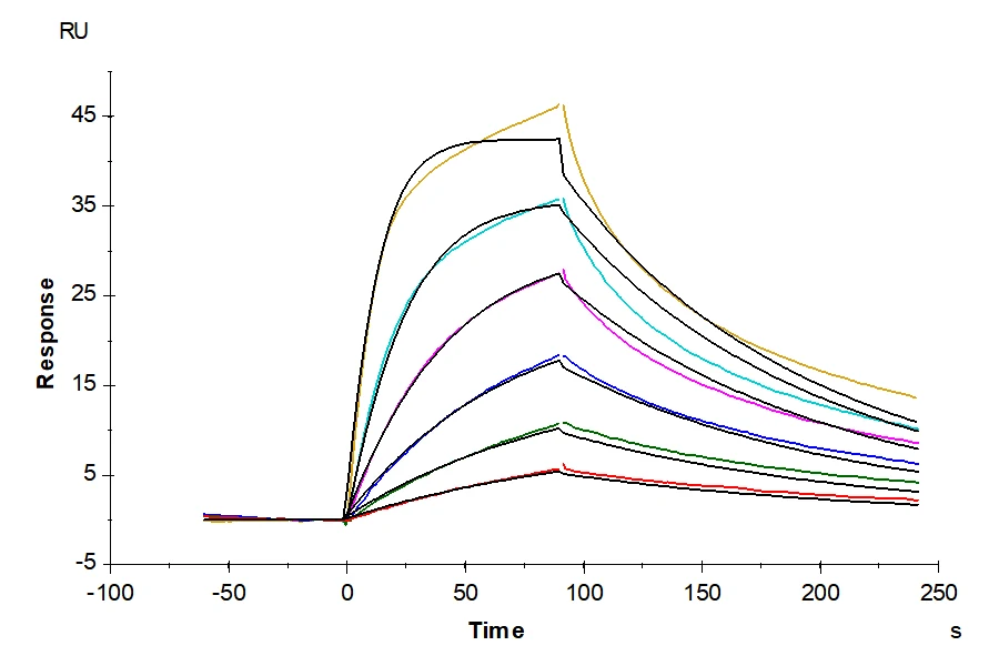 CD3E-HB004 SPR result