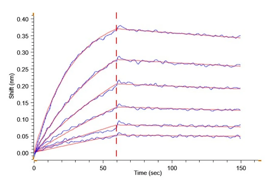 CD3E-HP001 BLI result