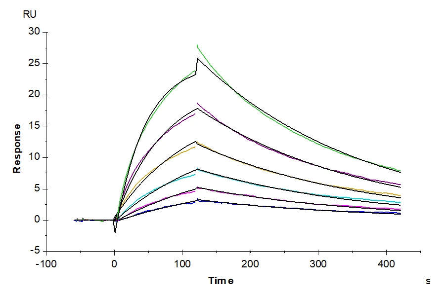 CD3ED-HB001 SPR result