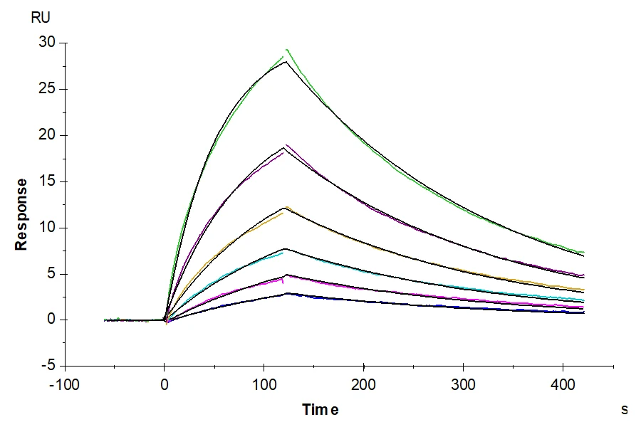 CD3EG-HB001 SPR result