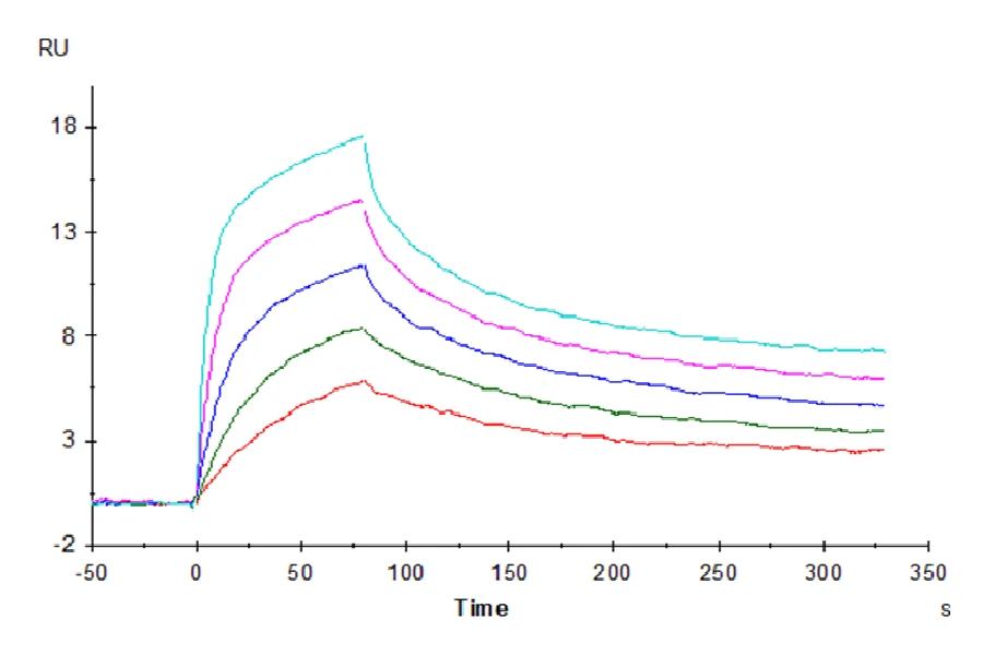 CD3EG-HP001 SPR result