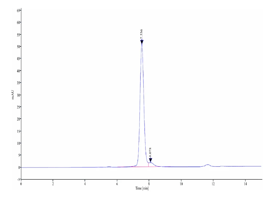 CD4-HP002 SEC-HPLC result