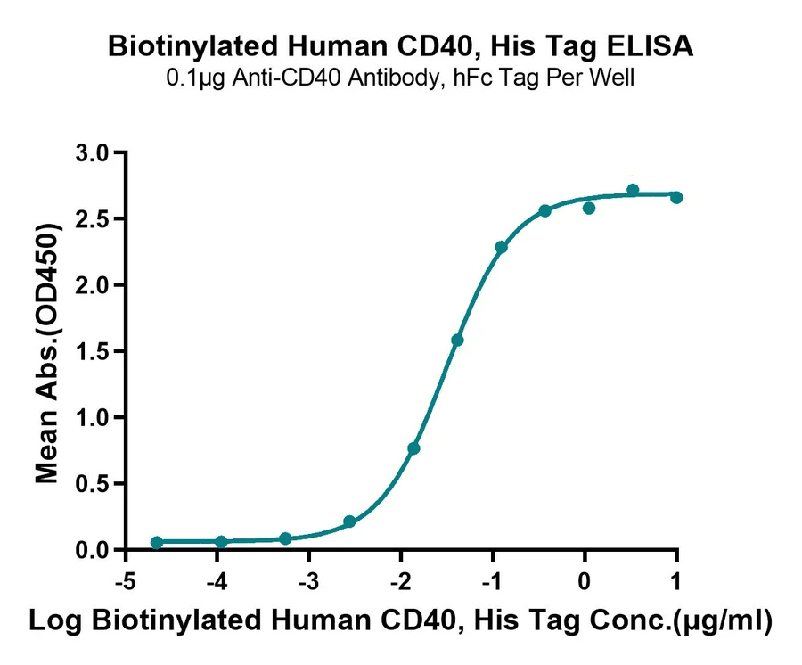 CD40-HB003 ELISA-2 result