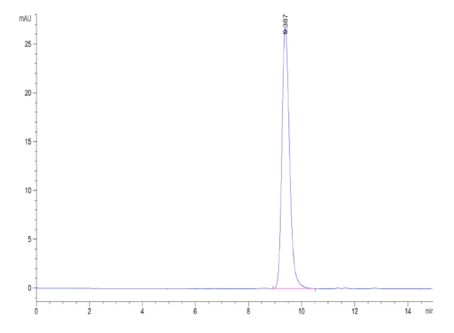 CD40-HB005 SEC-HPLC result