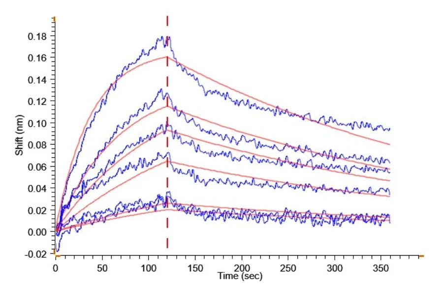 CD40-HF002 BLI result