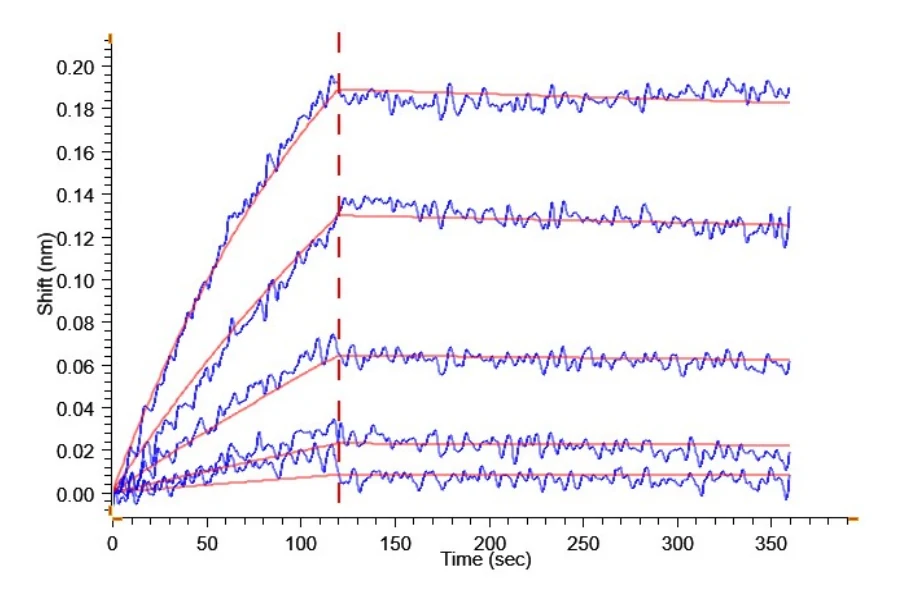 CD40-MF001 BLI result