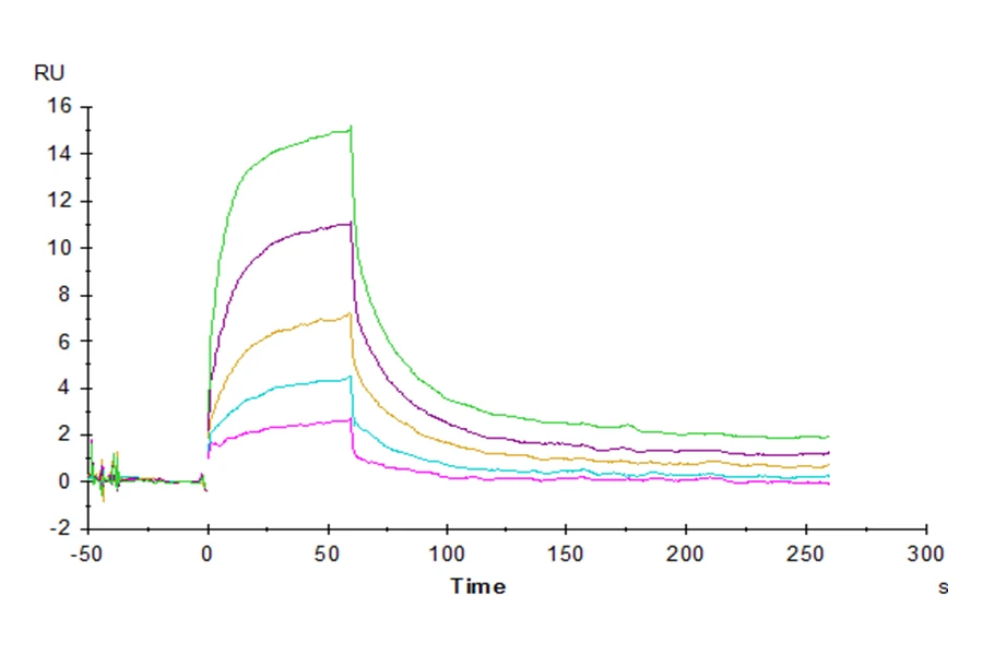 CD47-HP001 SPR result