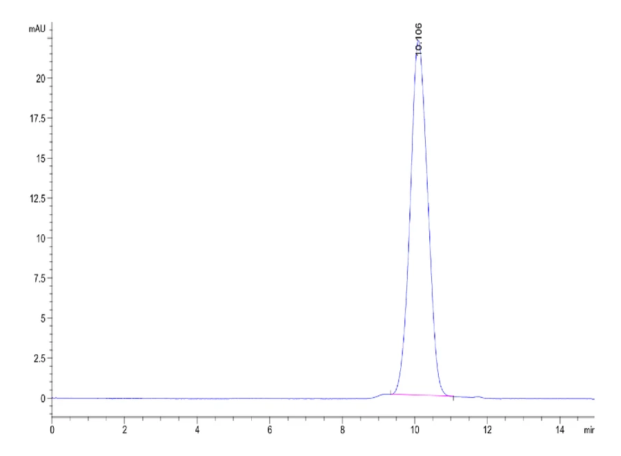 CD47-HP002 SEC-HPLC result